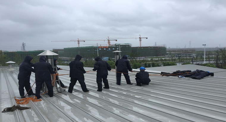 抗擊臺風(fēng)“利奇馬”  齊心協(xié)力保“加”園